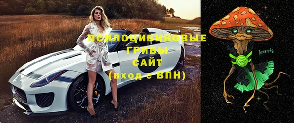 стафф Волоколамск